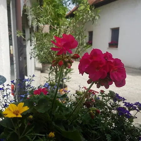 Huber Vendégház Сasa de vacaciones